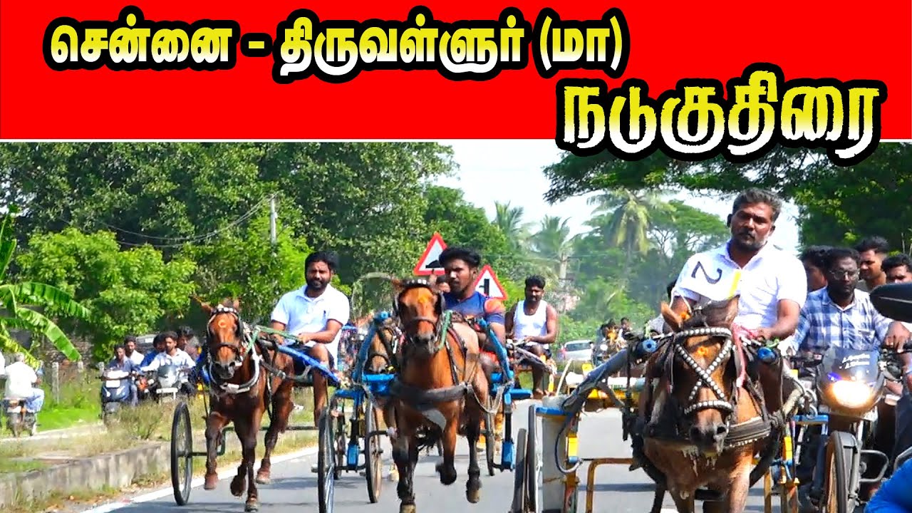 சென்னை திருவள்ளுர்    மாவட்டம் நடுகுதிரை  08/12/2024