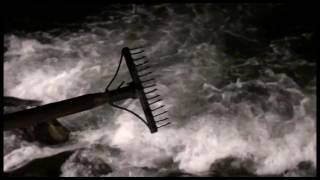 La lamprea en el rio Tea, Galicia