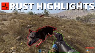 *NEW RUST* TWITCH HIGHLIGHTS &amp; BEST FUNNY MOMENTS #385 | Epic Plays &amp; Fails