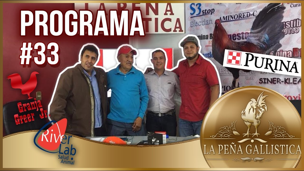 PROGRAMA 33 LPG - YouTube