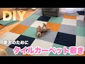 【DIY】1年半使用してボロボロになったニトリのタイルカーペットを春色に替えたら愛犬も大喜び！？ トイプードル/マルプー