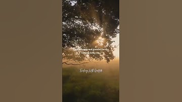 Thumbnail of I am so grateful for the success in my life | Thankful | Believe | Growth | Evolving With Gratitude