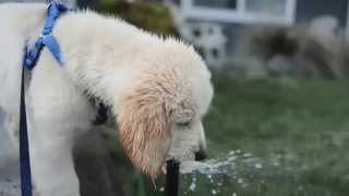 Noisy Background And Lots Of Particulate Water . 10% Twiixtor Test.