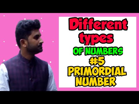 Primordial Numbers | Different types of numbers |  facts and maths | Type 5 |