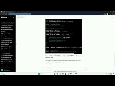 python selenium set