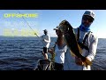 Lake Toho Offshore Summer Bass Fishing - iCast 2021