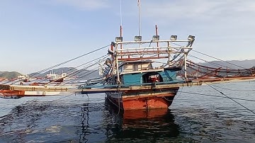 ikan hasil tangkapan kapal nelayan bagan melaut