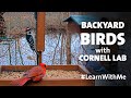 Backyard Birds with Cornell Lab! #LearnWithMe