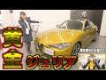 【限定車】黄金に輝くジュリア！鮮やかなブルーの500！＠アルファロメオ札幌東