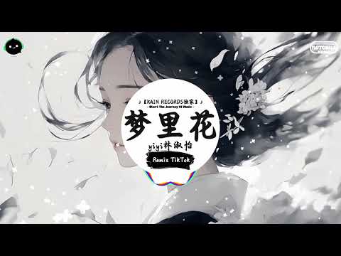 梦里花 (抖音DJ版) - yiyi林淑怡『唯一纯白的茉莉花 盛开在琥珀色月牙，就算失去所有爱的力量 我也不曾害怕。』♪ || 年度最佳抖音歌曲 | 抖音最火歌曲音 | 抖音 | TikTok  ♪
