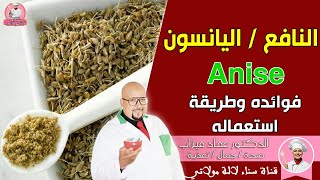 النافع او اليانسون Anise فوائدة وطريقة استعماله مع الدكتور عماد ميزاب