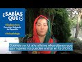Testimonio de khadija amin refugiada de afganistn
