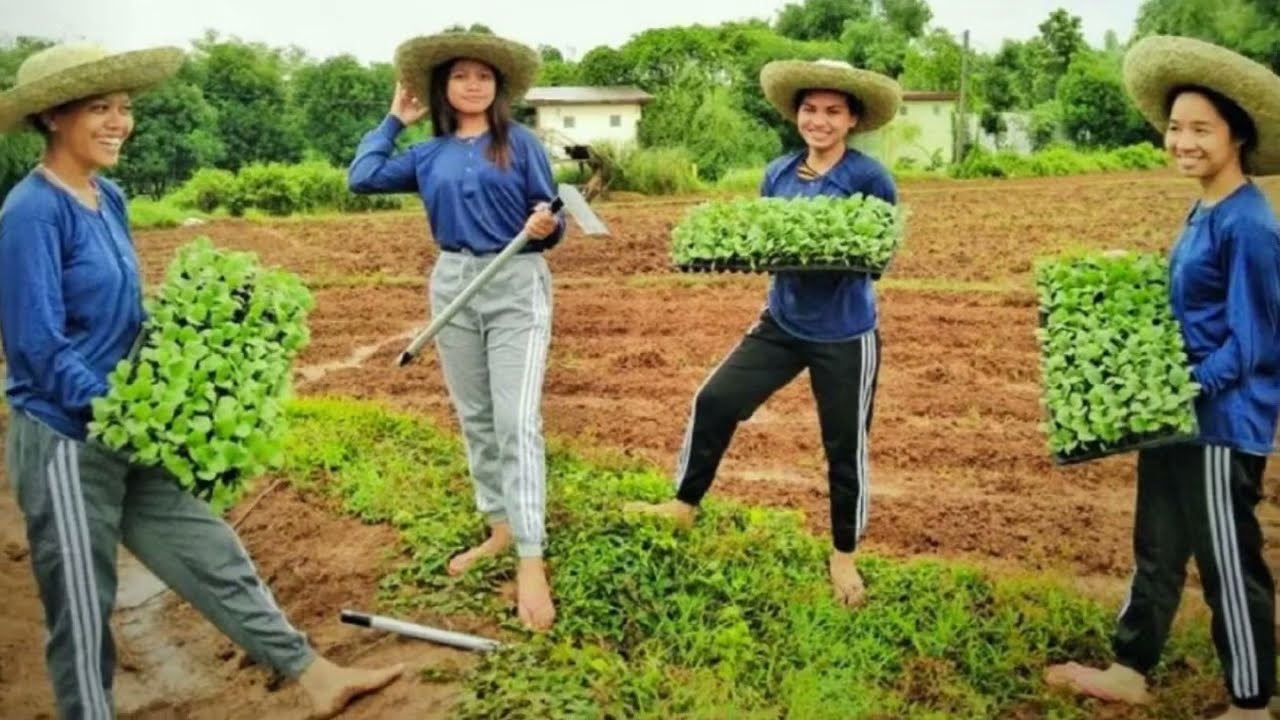 CHILD AND YOUTH DEVELOPMENT  SEED PHILIPPINES