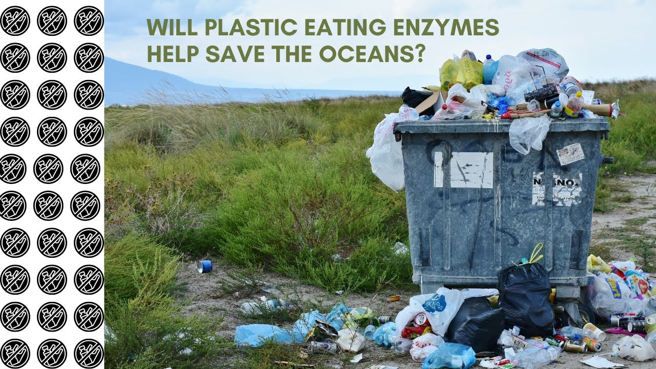 PlasticEating Enzymes A Microscopic Solution to a Macro Problem YouTube