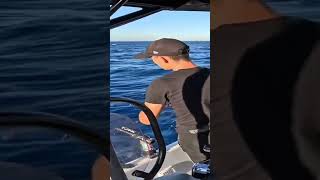 Pagre au tenya #fishing #fish #poisson #peche #bigfish