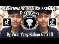 Dj nyawang manise esemmu gawe lereme rasaku  lamunan x jejantunging kalbu x tulus remix dinar fvnky