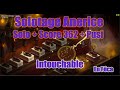 [SOLOTAGE] Anerice Solo + Pusi + Score 362 + Intouchable | Féca !