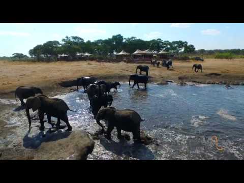 Somalisa Camp, Hwange National Park, Zimbabwe