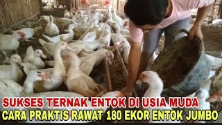 SUKSES TERNAK ENTOK DI USIA MUDA, RAWAT 180 EKOR ENTOK JUMBO