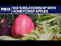 Washington's rocky relationship with the honeycrisp apple | FOX 13 Seattle