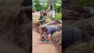 Наследие Афганистана искусство строительства домов из глины