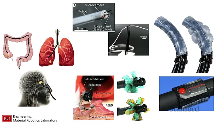 Stanford Seminar - Soft Material Robotics and Next-Generation Surgical Robots - DayDayNews