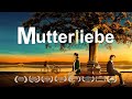 Wie kann man Kindern wunderbare Zukunft geben „Mutterliebe“ (Familienfilme auf Deutsch, ganze film)