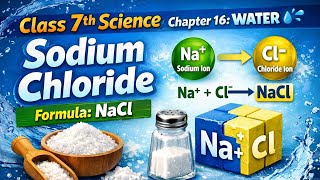 Sodium Chloride || Formula of Sodium Chloride || NaCl || CLASS 7️⃣th SCIENCE || CH water 💦 #class7th