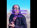 Native American Medicine Man wise words to us all