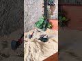 Excavator work🔥🔥 #huina1594 #rcbfans #excavator #diecast #toys #calmdown #vehicles #construction