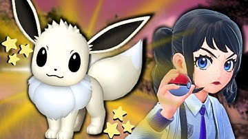 Can I Complete the Shiny Eeveelution Line in One Day?