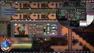 Tameo de Geyser de gas natural. Oxygen not included.