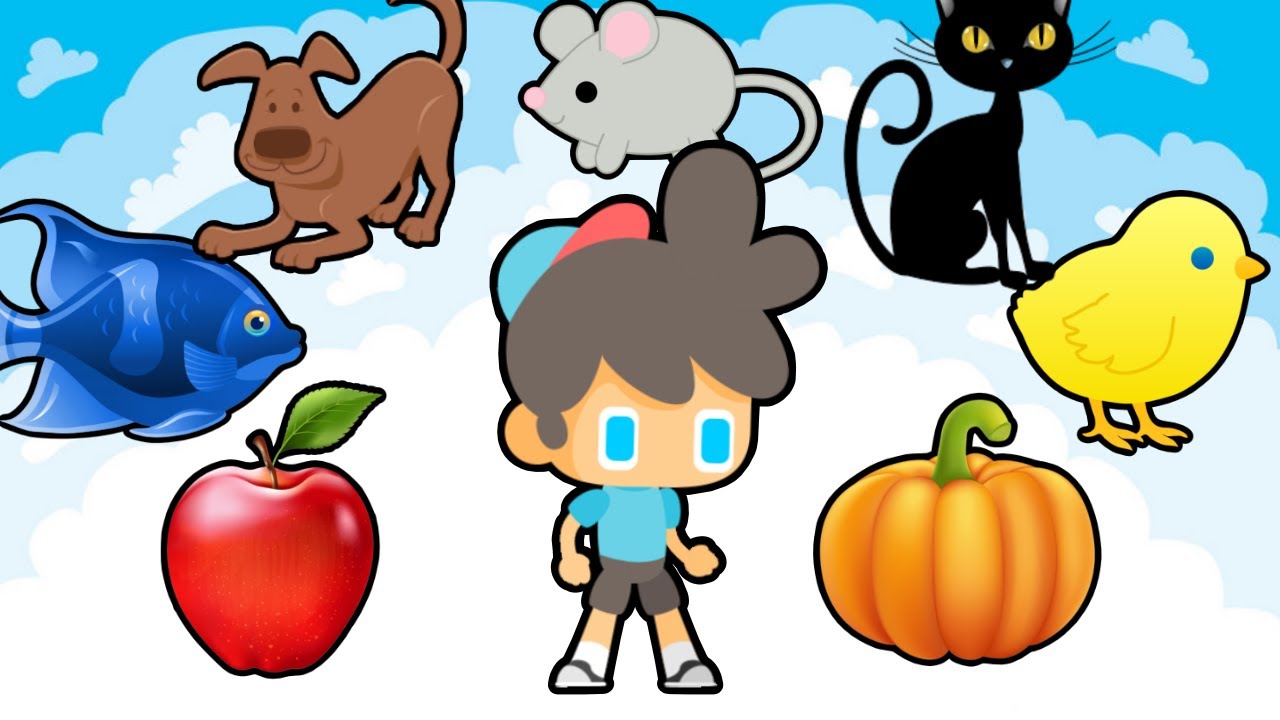 Match The Words With The Pictures - learning videos for kids