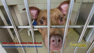 The Friday Shelter Walk At CCAS For The Weekend Of March 25, 2022 by Friends of the Cuyahoga County Animal Shelter 1,345 views 2 years ago 48 minutes