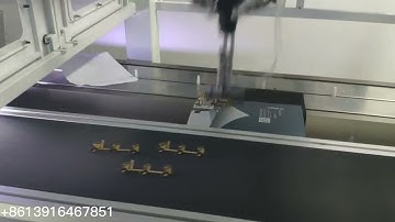 Delta robot spider arm sorting machine for hardware industry