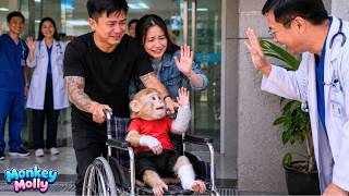 The joyful moment Monkey Molly is discharged from the hospital and says goodbye to the doctors
