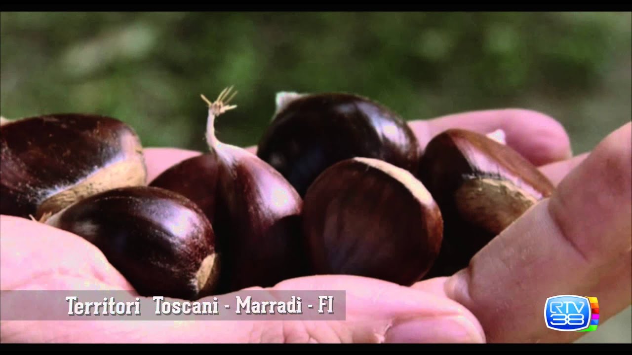 Territori Toscani Puntata 14 - Marradi