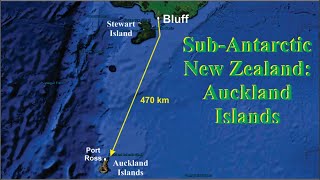 SubAntarctic NZ 1   Auckland Islands