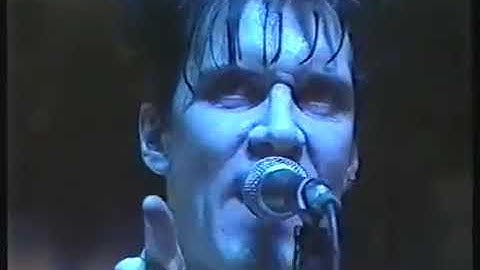 PSYCHEDELIC JUNGLE™ | THE CRAMPS — The Tube 