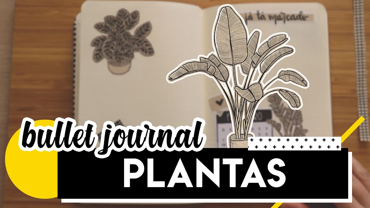 BULLET JOURNAL PLANTAS | by Aline Albino