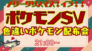 【色違いポケモン配布 ポケモンSV 】メリークリスマス！イブ！！色違いポケモン配布会！【交換方法などはタイトルタップ→もっと見る(概要欄)と出てくるので読んでね！】