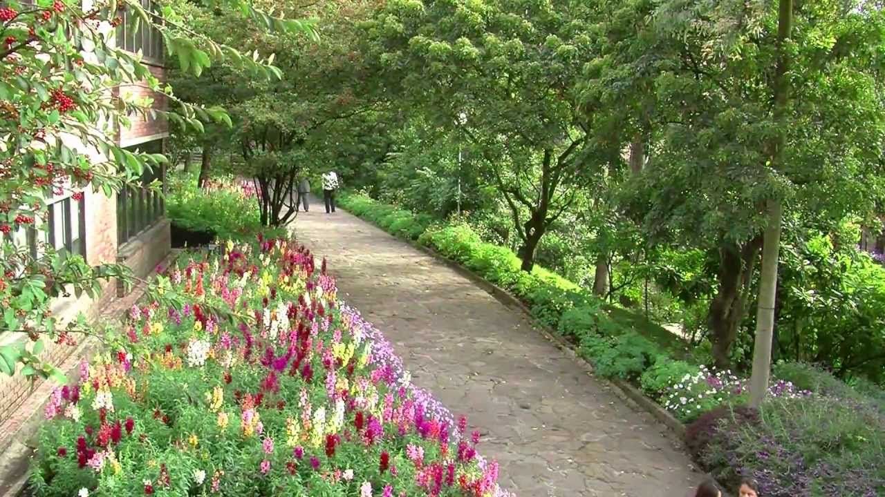 Jardines Universidad Externado YouTube
