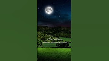 هُوَ الَّذِي أَنزَلَ السَّكِينَةَ فِي قُلُوبِ الْمُؤْمِنِينَ|سورة الفتح