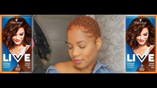 DYING MY HAIR: LIVE Urban Brown Hair Dye