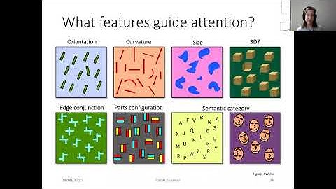Modelling visual search using features from deep convolutional neural networks — Krista Ehinger