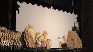 Download lagu Ki Bayu Aji - Budhalan ( lcr. Tropongbang ) TERBARU ❗️❗️