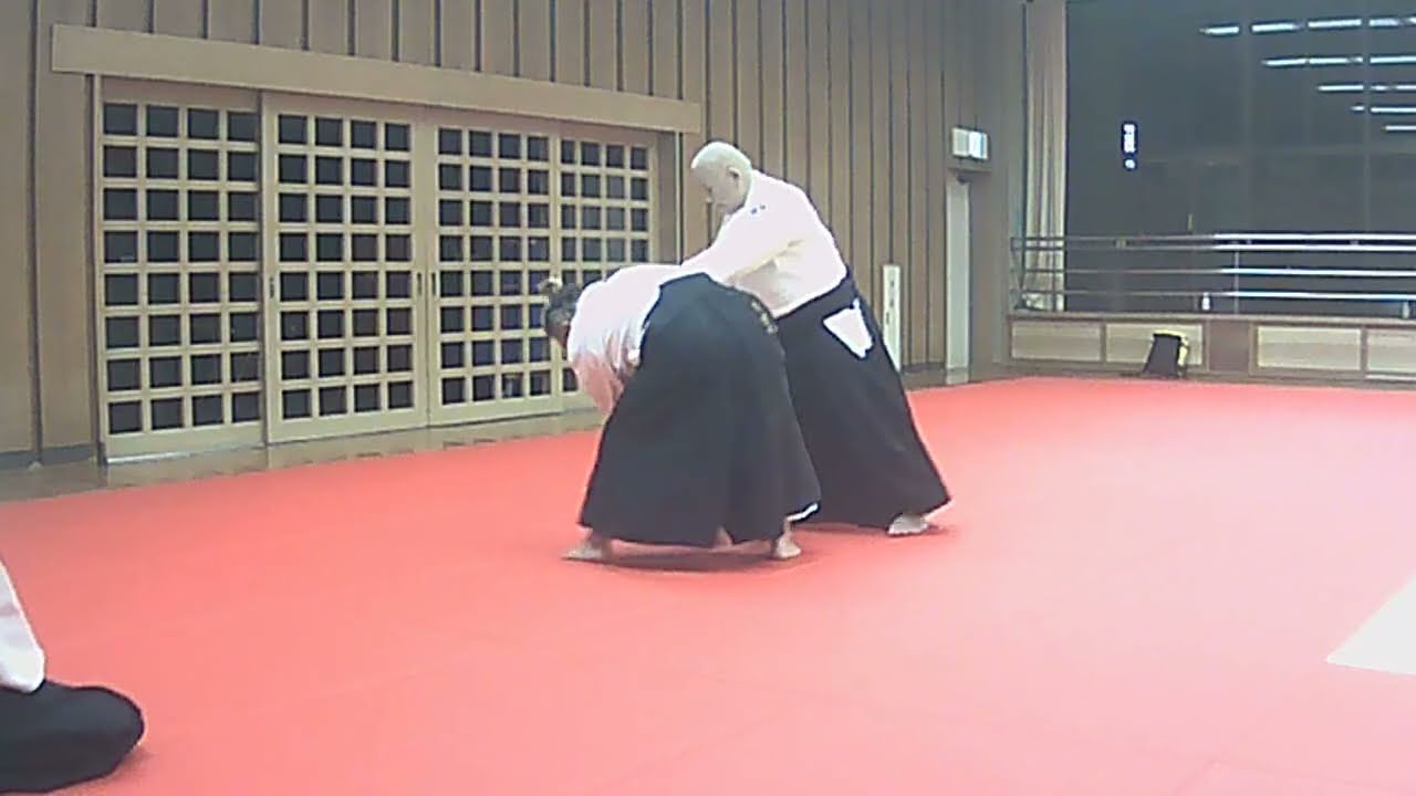 合氣道八和会　後両手取り　一教