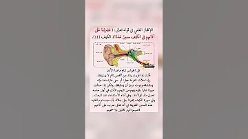 معنى الإعجاز العلمي في قوله تعالى فضربنا على اذانهم في الكهف سنين عددا 