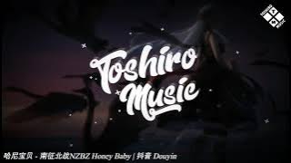 哈尼宝贝 - 南征北战NZBZ Honey Baby | 抖音 Douyin | Toshiro Music