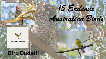 15 Endemic Australian Birds